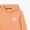 imageLacoste Boys Long Sleeve Hooded SweatshirtLedge