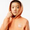 imageLacoste Boys Long Sleeve Hooded SweatshirtLedge