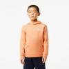 imageLacoste Boys Long Sleeve Hooded SweatshirtLedge