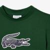 imageLacoste Kids Short Sleeve Crewneck Large Front Croc Graphic TeeshrtAppalachan Green
