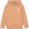 imageLacoste Boys Long Sleeve Hooded SweatshirtLedge