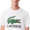 imageLacoste Regular Fit Short Sleeve Crew Neck Tee Shirt WLarge Croc Graphic on The Front of The ChestWhite