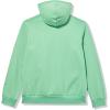 imageLacoste mens Mens Long Sleeve Solid Pop Over SweaterSweatshirtLiamone Green