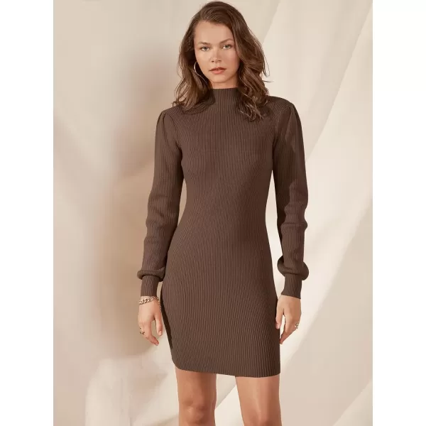 Caracilia Women Turtleneck Long Sleeve Knit Pullover Sweater Bodycon Mini Dress
