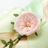 image:imageJerrisApparel Girls Princess Costume Role Play Fancy Dress Ball Gown Halloween Party Dress up
