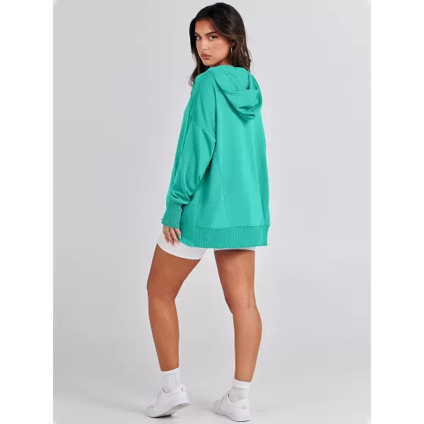imageANRABESS Women Casual Button V Neck Hoodies Oversized Pullover Sweatshirt Hooded Sweater Tops with PocketsLake
