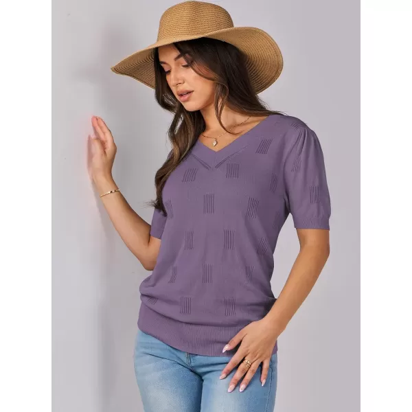 imageANRABESS Womens Short Sleeve V Neck Summer Tops Lightweight Knit Thin Sweaters 2024 Fashion Casual Blouse ShirtsGrey Purple