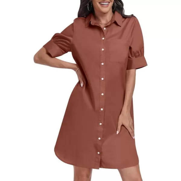 imageANRABESS Womens Shirt Dress Short Sleeve Loose Casual Summer Button Down Tunic Dresses with PocketsBrown