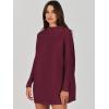 imageANRABESS Women Oversized Casual Loose Turtleneck Long Sleeve Slouchy Baggy Knit Tunic Sweaters Pullover 2025 Fall OutfitsWine Red