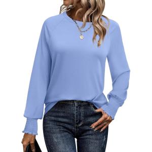 imageANRABESS Womens Long Sleeve Shirts Crewneck Casual Loose Tunic Tops Dressy Work Blouses Fall Fashion Clothes 2025Light Blue