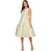imageAdrianna Papell Womens Sleeveless Tea Length DressAloe Mist