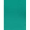 imageAdrianna Papell Womens Crepe Chiffon GownBotanic Green