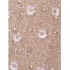 imageAdrianna Papell Womens Beaded Long 3D Floral DressMarble