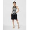 imageAdrianna Papell Womens Embroidered Fit and FlareBlackIvory