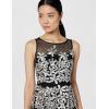 imageAdrianna Papell Womens Embroidered Fit and FlareBlackIvory