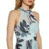 image:imageAdrianna Papell Womens Printed Chiffon Halter GownMint Multi