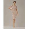 image:imageAdrianna Papell Womens Beaded Short DressRose Gold