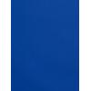 image:imageAdrianna Papell Womens Micro Ruffled Sheath DressCobalt Blue