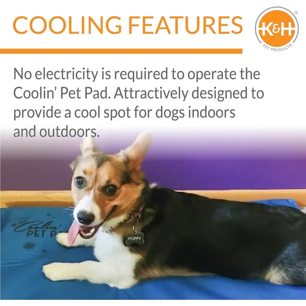 KampH Pet Products Coolin Pet Pad Dog Cooling Mat Outdoor Dog Bed Cooling Pad for Dog Travel Pet Cooling Mat Dog Cooling Mat for Dog Carrier Cooling Dog Beds for Large Dogs  Large 20 X 36 Inch Blue200L x 150W x 10Th