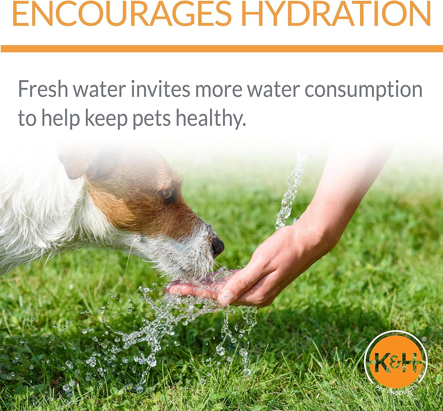 KampH Pet Products CleanFlow Filtered Water Bowl for Medium and Large Dogs Pet Drinking Water Fountain Dog Water Dispenser Granite Medium 14 Gallon amp 1 Gallon ReservoirKampH Pet Products CleanFlow Filtered Water Bowl for Medium and Large Dogs Pet Drinking Water Fountain Dog Water Dispenser Granite Medium 14 Gallon amp 1 Gallon Reservoir