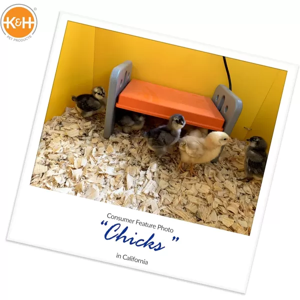 KampH Pet Products Thermo Chicken Brooder Brooder Heater for Chicks Chick Brooder Plate Safe Alternative to Heat Lamp for Chickens  GrayOrange Small 8 X 135 X 8 InchesSmall 8 X 135 X 8 Inches