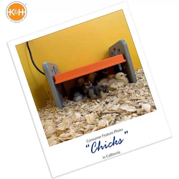 KampH Pet Products Thermo Chicken Brooder Brooder Heater for Chicks Chick Brooder Plate Safe Alternative to Heat Lamp for Chickens  GrayOrange Small 8 X 135 X 8 InchesSmall 8 X 135 X 8 Inches