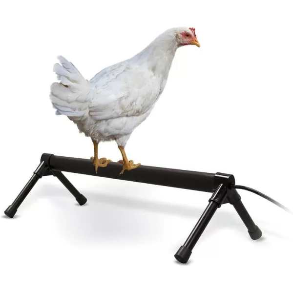 KampH Pet Products ThermoChicken Perch Warming Chicken Heater for Chicken Coops Prevents Frozen Chicken Toes Chicken Coop Accessories Safe Alternative to Chicken Coop Heater  Black 2626 Inches Recyclable Box