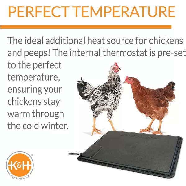 KampH Pet Products ThermoChicken Heated Pad Black 125 Inches X 185 InchesRecyclable Box