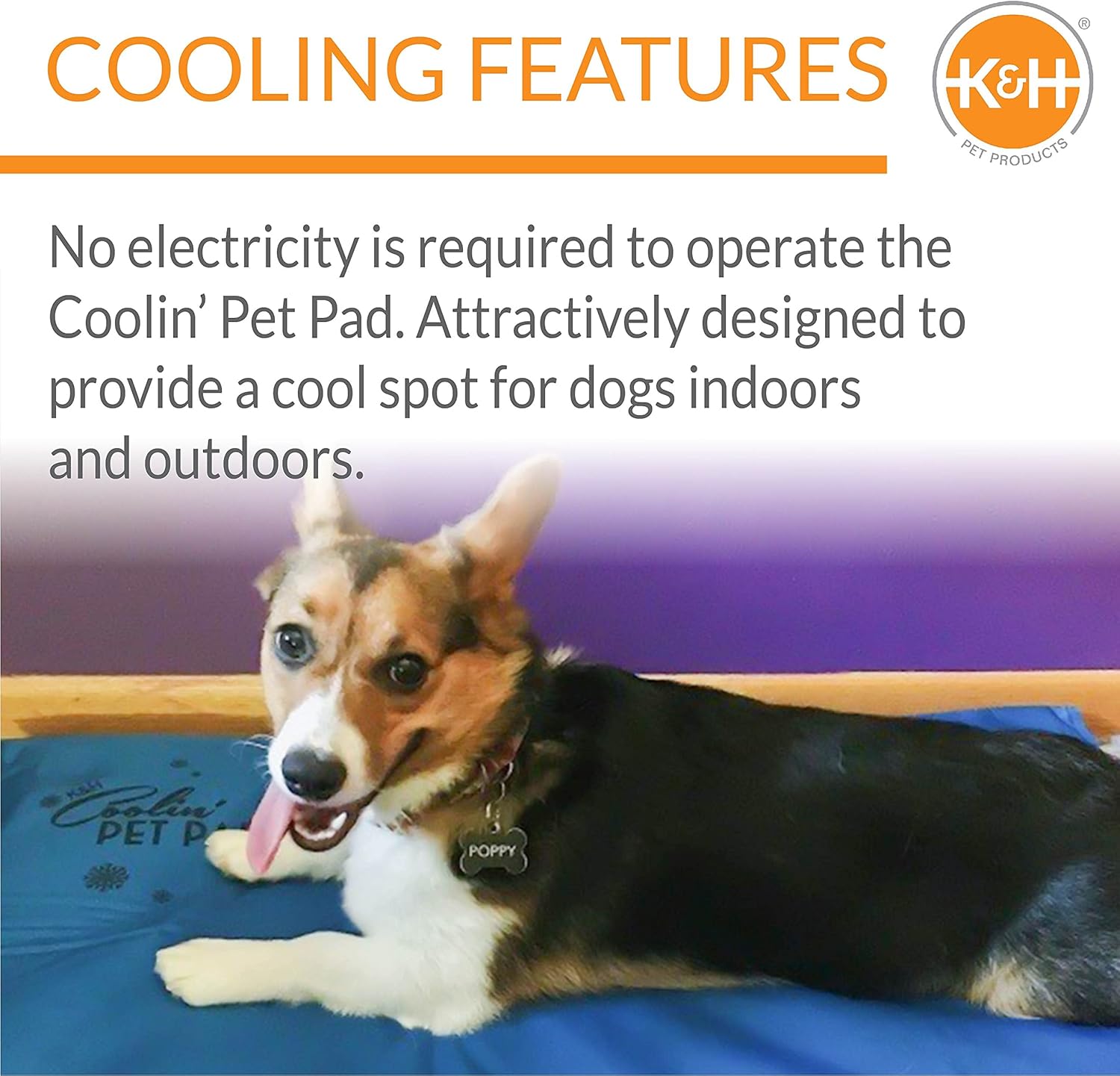 KampampH Pet Products Summer Cooling Mat for Dogs or Cats Outdoor Dog Cooling Mat for Travel Carriers Cooling Pad for Dog thats Easy Carry NonToxic No Gel  Cooling Dog Bed  Blue Large 36quot x 20quot200L x 150W x 10Th