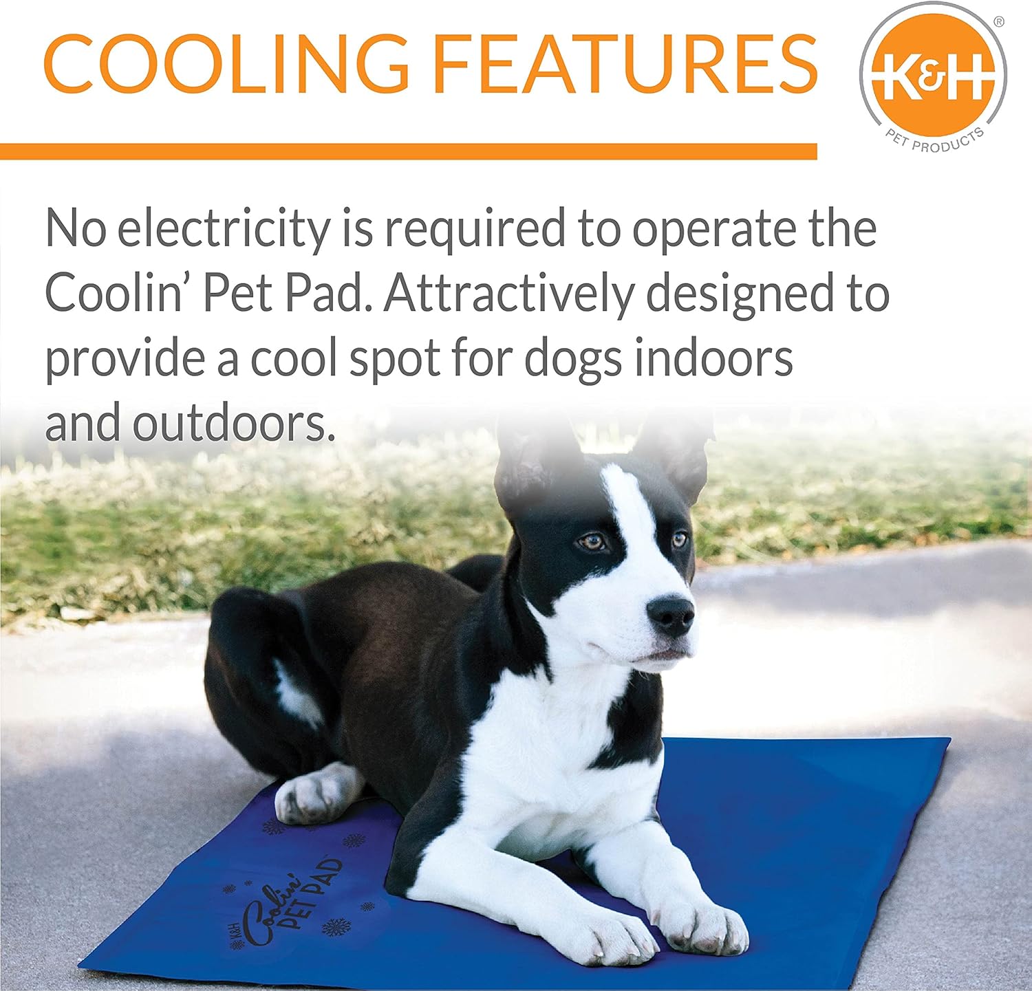 KampampH Pet Products Summer Cooling Mat for Dogs or Cats Outdoor Dog Cooling Mat for Travel Carriers Cooling Pad for Dog thats Easy Carry NonToxic No Gel  Cooling Dog Bed  Blue Large 36quot x 20quot360L x 200W x 10Th
