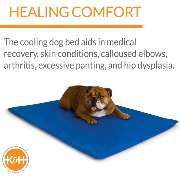 KampH Pet Products Coolin Pet Bowl Cooling Dog Bowl Pet Water Dish for Large Medium Small Breed Dogs amp Cats IndoorOutdoor Insulated Ice Cold Dog Bowl  Cooler Blue 96 Ounces96 Ounces Bed  Bowl