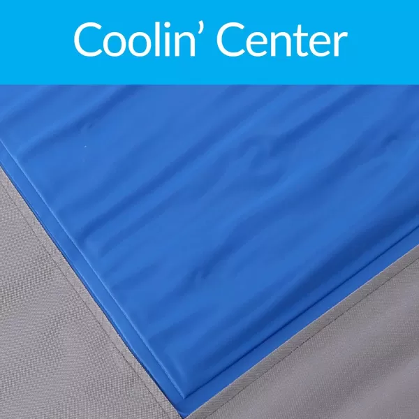 KampampH PET PRODUCTS Cooler Dog Kit Coolin Pet Cot Medium and Freezable Coolin Bowl 96 OunceCoolin Kit