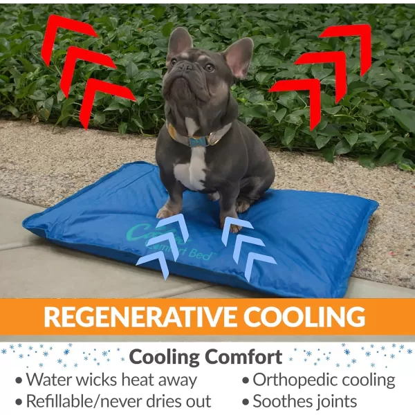 KampampH Pet Products Cool Bed III Dog Cooling Mat Cooling Dog Beds for Small Dogs Dog Cooling Mat for Dog Carrier Outdoor Dog Bed Cooling Pad for Dog Pet Cooling Mat  Blue Small 17 X 24 Inches440L x 320W x 20Th