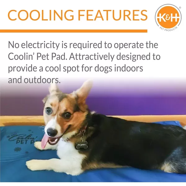 KampampH Pet Products Summer Cooling Mat for Dogs or Cats Outdoor Dog Cooling Mat for Travel Carriers Cooling Pad for Dog thats Easy Carry NonToxic No Gel  Cooling Dog Bed  Blue Large 36quot x 20quot200L x 150W x 10Th
