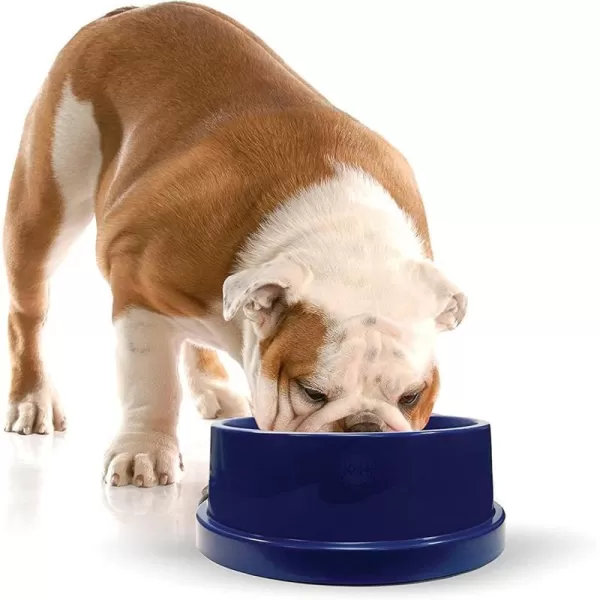 KampH Pet Products Coolin Pet Bowl Cooling Dog Bowl Pet Water Dish for Large Medium Small Breed Dogs amp Cats IndoorOutdoor Insulated Ice Cold Dog Bowl  Cooler Blue 96 Ounces96 Ounces Bowl