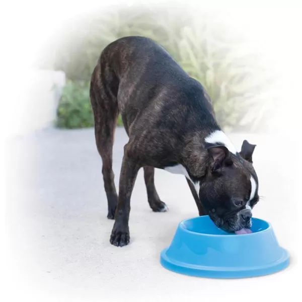 KampH Pet Products Coolin Pet Bowl Cooling Dog Bowl Pet Water Dish for Large Medium Small Breed Dogs amp Cats IndoorOutdoor Insulated Ice Cold Dog Bowl  Cooler Blue 96 Ounces32 Ounces Bowl