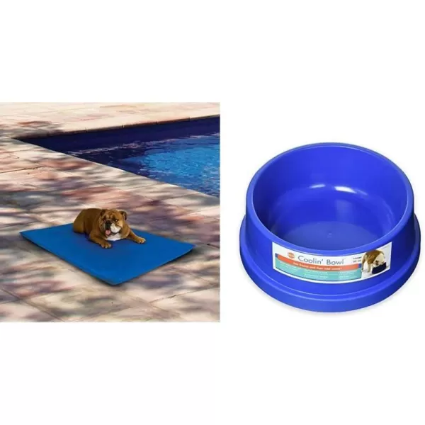 KampH Pet Products Coolin Pet Bowl Cooling Dog Bowl Pet Water Dish for Large Medium Small Breed Dogs amp Cats IndoorOutdoor Insulated Ice Cold Dog Bowl  Cooler Blue 96 Ounces96 Ounces Bed  Bowl