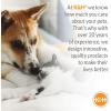 imageKampampH Pet Products Air Sofa Inflatable Dog Bed Lightweight Air Mattress Pet Bed IndoorOutdoor Bed for Seniors Camping Travel and More GrayGeo Flower Medium 27 X 36 Inches