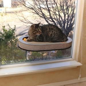imageKampampH Pet Products Universal Mount Kitty Sill Cat Window Perch 14 X 24 Inches Scratcher Ball Track