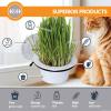 imageKampampH Pet Products EZ Mount Cat Grass Grow Station for Window  Healthy Home Grown Grass Cat Kit for Bored Indoor Adult Cats Pairs Purrfectly with Cat Window Perches Farmed in USA NonGMO Grass