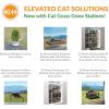 imageKampampH Pet Products EZ Mount Cat Grass Grow Station for Window  Healthy Home Grown Grass Cat Kit for Bored Indoor Adult Cats Pairs Purrfectly with Cat Window Perches Farmed in USA NonGMO Grass