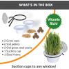 imageKampampH Pet Products EZ Mount Cat Grass Grow Station for Window  Healthy Home Grown Grass Cat Kit for Bored Indoor Adult Cats Pairs Purrfectly with Cat Window Perches Farmed in USA NonGMO Grass