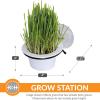 imageKampampH Pet Products EZ Mount Cat Grass Grow Station for Window  Healthy Home Grown Grass Cat Kit for Bored Indoor Adult Cats Pairs Purrfectly with Cat Window Perches Farmed in USA NonGMO Grass