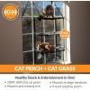 imageKampampH Pet Products EZ Mount Cat Window Perch 4 Level Kitty Sill with Cat Grass Grow Station Quad Stack  Tower Hammock Window Bed for Indoor Home Grown Grass Cat Toy for Bored Indoor Adult Cats