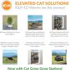 imageKampampH Pet Products EZ Mount Cat Window Perch Penthouse Kitty Sill with Cat Grass Grow Station  2 Level Hammock Window Bed for Indoor Pets Home Grown Grass Cat Toys for Bored Indoor Adult Cats