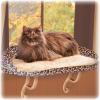 imageKampampH Pet Products Deluxe Kitty Sill w Bolster Cat Window Bed Cat Window Perch for Large Cats Cat Window Hammock Cat Window Seat Window Cat Bed Cat Perch Cat Hammock Tan Leopard PrintTanLeopard Print
