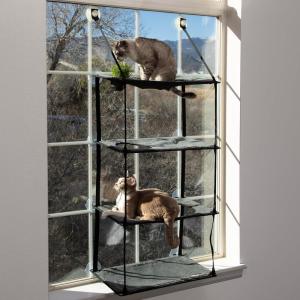 imageKampampH Pet Products EZ Mount Cat Window Perch 4 Level Kitty Sill with Cat Grass Grow Station Quad Stack  Tower Hammock Window Bed for Indoor Home Grown Grass Cat Toy for Bored Indoor Adult Cats