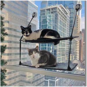 imageKampampH Pet Products EZ Mount Window Sill Cat Bed Cat Window Hammock Sturdy Cat Window Perch for Large Cats Cat Window Bed Cat Furniture Cat Hammock for Window Cat Perch Cat Shelf  Triple Stack Gray12 X 23 Inches