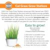 imageKampampH Pet Products Cat Grass Grow Station Growing Cup Refills for KampampH EZ Mount Products  Healthy Home Grown Grass Cat Toys for Bored Indoor Adult Cats Farmed in USA NonGMO  Refill ONLY  2 Pack
