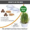 imageKampampH Pet Products Cat Grass Grow Station Growing Cup Refills for KampampH EZ Mount Products  Healthy Home Grown Grass Cat Toys for Bored Indoor Adult Cats Farmed in USA NonGMO  Refill ONLY  2 Pack